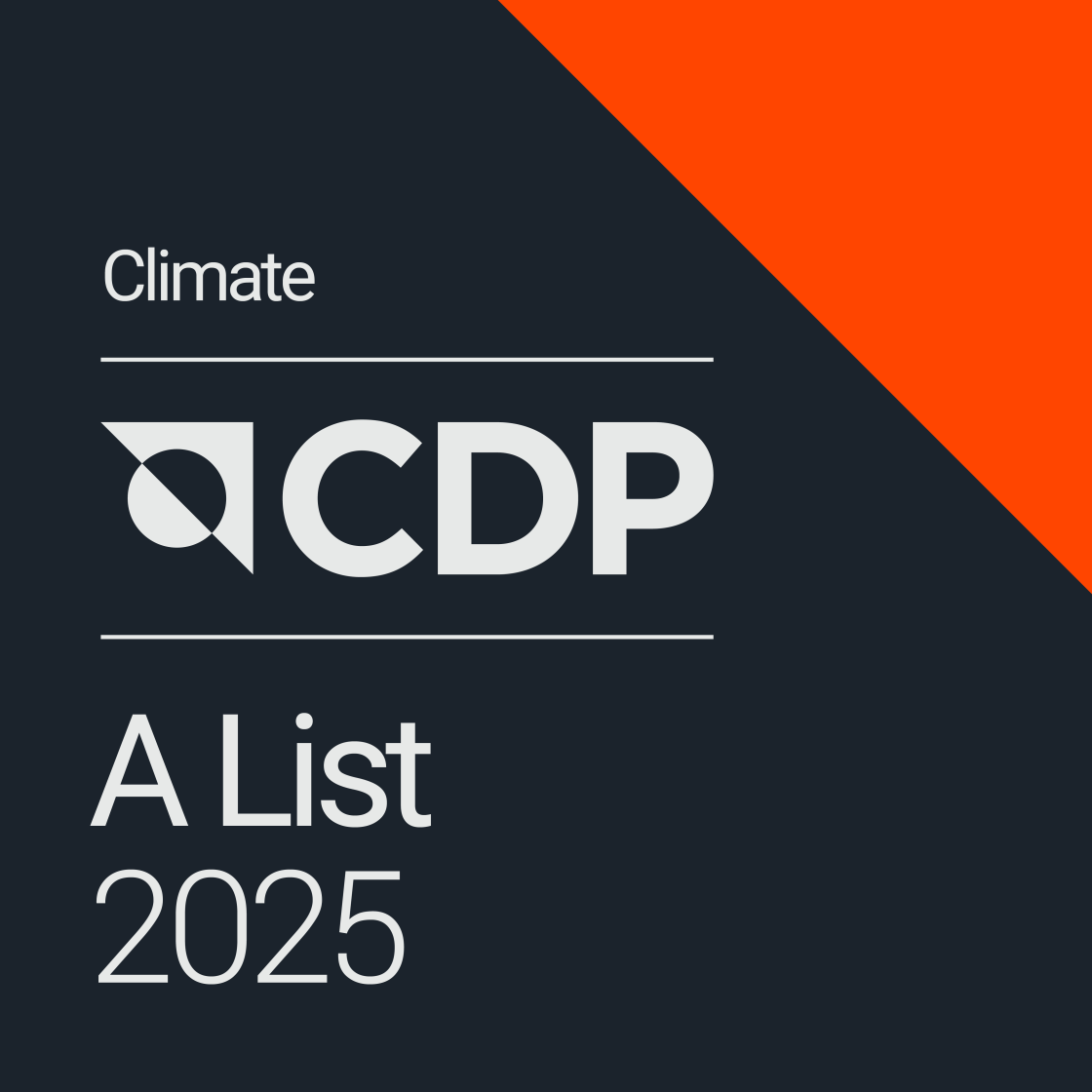 CDP 2025 A List